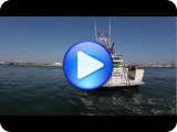 Sand Dollar Boat Virtual Tour